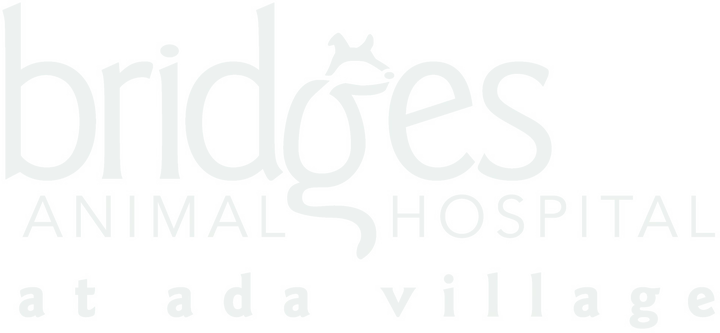 Bridges Animal Hospital at Ada Village